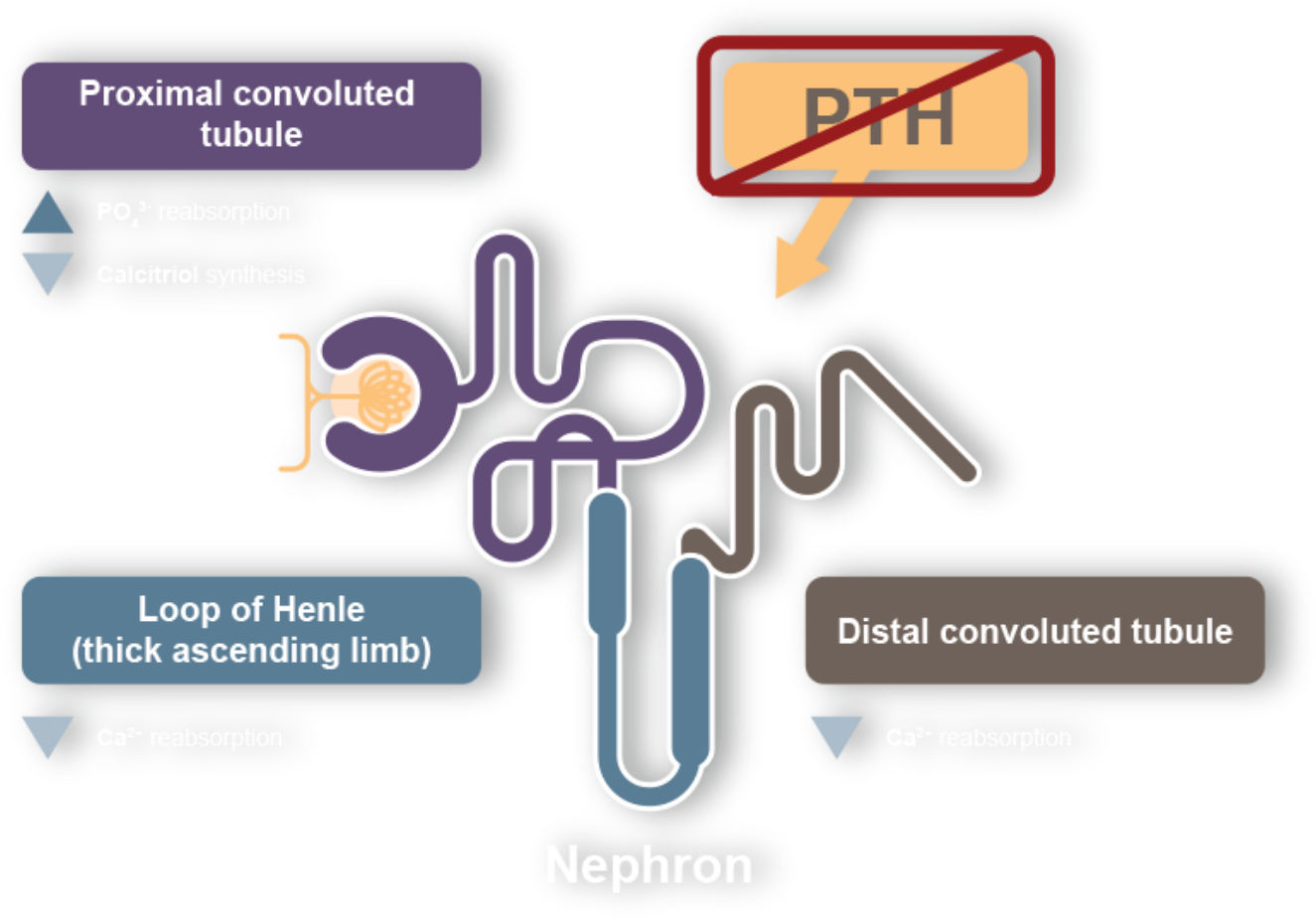 complications-of-hypoparathyroidism